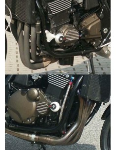 LSL Crash Protectors...