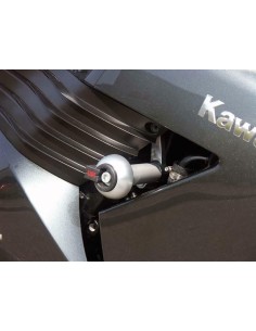 LSL Crash Protectors...