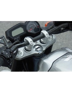 LSL Bar Mounts For GSF1200...