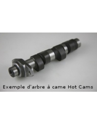 HOT CAMS Camshaft - Stage 1 Polaris