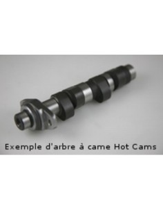 HOT CAMS Camshaft - Stage 2...