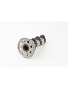 HOT CAMS Camshaft - Stage 1...