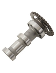 HOT CAMS Camshaft Intake -...