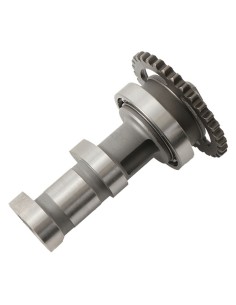 HOT CAMS Camshaft Exhaust -...