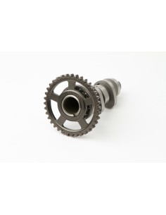 HOT CAMS Camshaft - Stage 1...