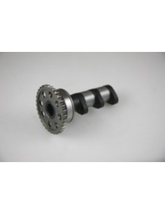 HOT CAMS Camshaft Exhaust -...