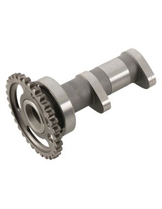 HOT CAMS Camshaft Intake -...