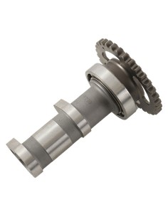 HOT CAMS Camshaft Intake -... 2
