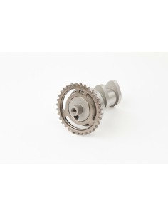 HOT CAMS Camshaft Exhaust -...