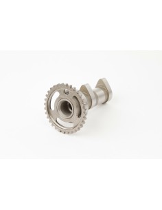 HOT CAMS Camshaft Intake -...