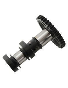 HOT CAMS Admisie arbore cu...