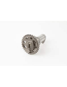 HOT CAMS Evacuare arbore cu...