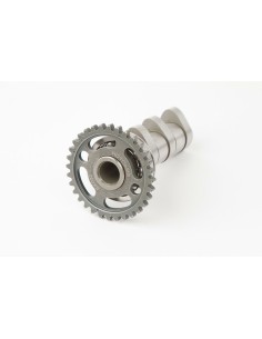 HOT CAMS Camshaft Intake -...