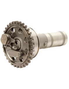 HOT CAMS Evacuare arbore cu...