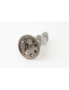 HOT CAMS Camshaft Exhaust -...