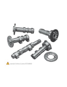 HOT CAMS Camshaft Exhaust +...