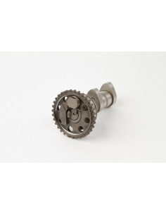 HOT CAMS Camshaft Exhaust -...