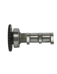 HOT CAMS Camshaft Intake -...