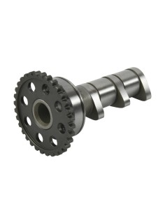 HOT CAMS Camshaft Intake -... 2