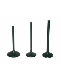 VERTEX Titanium Exhaust Valve