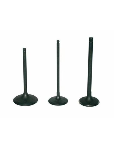 VERTEX Titanium Intake Valve