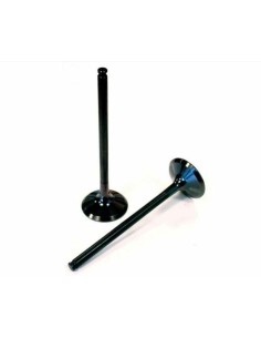 Supapa de admisie din titan...