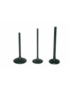 VERTEX Titanium Intake Valve
