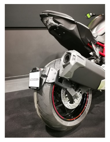 Lick Wheel License Plate Holder...