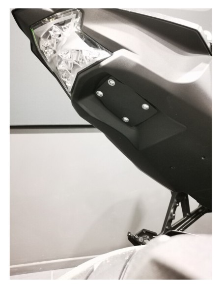 Lick Wheel License Plate Holder ACCESS DESIGN - Kawasaki Z H2