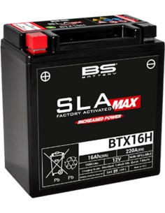 BS BATTERY SLA Max Battery...