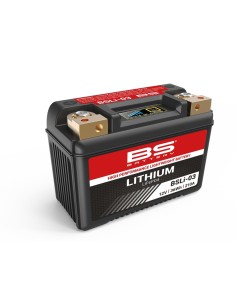 BS BATTERY Battery...