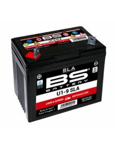 BS BATTERY SLA Battery...