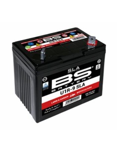 BS BATTERY SLA Battery...