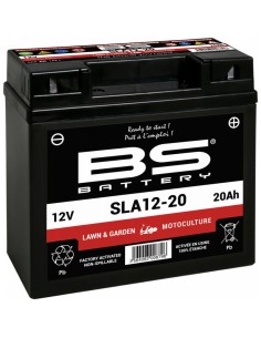 BS BATTERY SLA Battery...