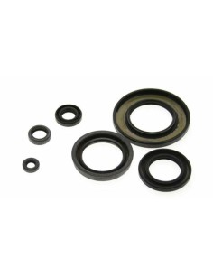 CENTAURO Oil Seal Set