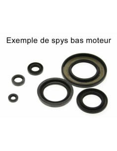 CENTAURO Oil Seal Set