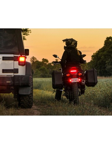 DENALI T3 Lights License Plate Holder... DENALI T3 Lights License Plate Holder...