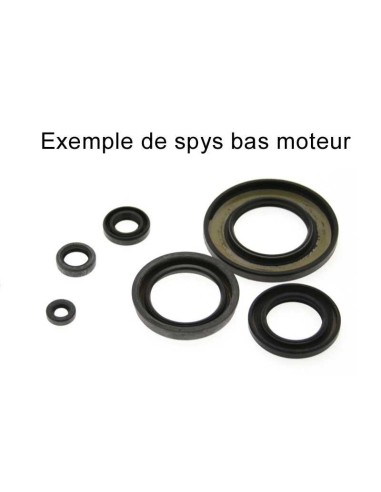 CENTAURO Oil Seal set