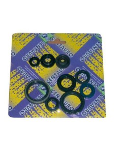 CENTAURO Oil Seal Set