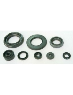 TOURMAX Engine Oil Seals Set