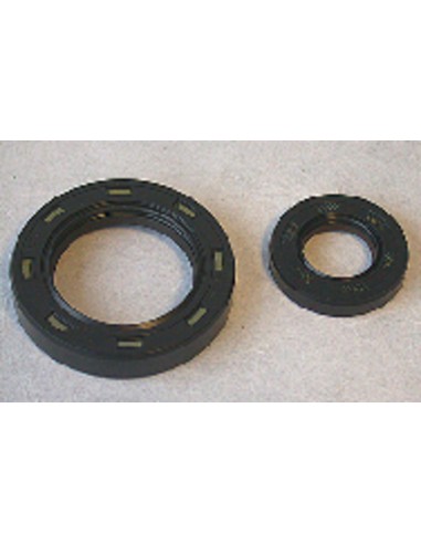 CENTAURO Oil Seal set