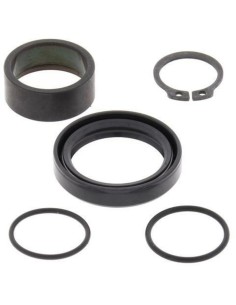 ALL BALLS Gearbox Output...