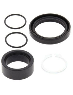 Kit de recondiționare...