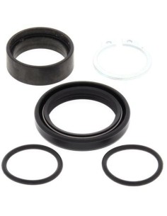 Kit de recondiționare...