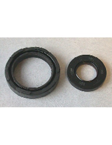 CENTAURO Crankshaft Oil Seal Set