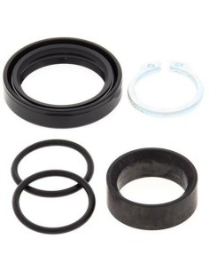 Kit de recondiționare...