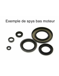 CENTAURO Oil Seal Set D....