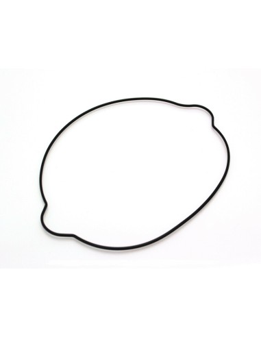 CENTAURO Clutch case gasket