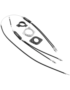 FISHBONE X-UFO Spectra BMX...