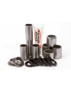 Pivot Works shock absorber...